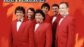 LOS PALMERAS  Enganchados Grandes Exitos GUDI  CUMBIA SANTAFESINA