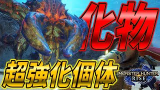 【大剣】ヌシディアブロスさん...？？？【モンスターハンターライズ】