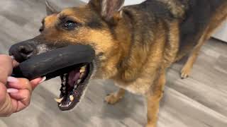 MONSTER K9 CHEW RING