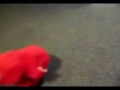 Tickle Me Elmo Big Laugh