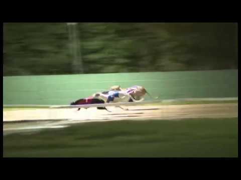 Droopys Live - SIS Yorkshire  St Leger 3rd Semi-Final