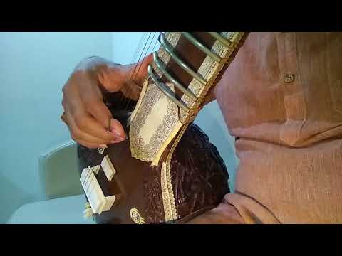 Prakash Paunikar Sitar Classes