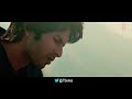 Tujhe Kitna Chahne Lage Whatsapp Status Kabir Singh Shahid Kapoor