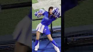 さようならFukaちゃん  ベイスターズ　dianaディアーナ  チア