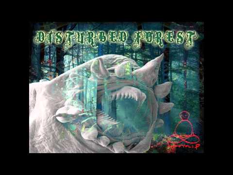 Dark Cygnus -  Space Destiny