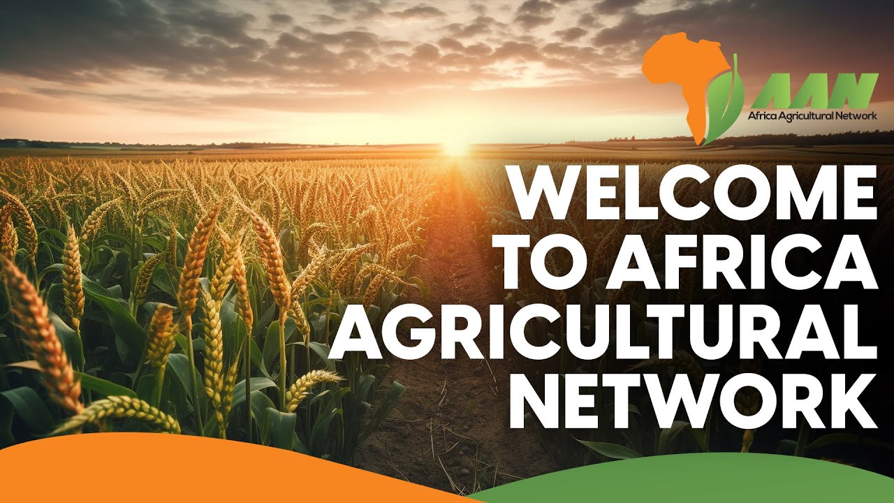 Welcome to Africa Agricultural Network
