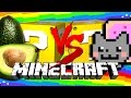 Minecraft | FR E SH A VOCA DO LUCKY BLOCK CHALLENGE | Nyan Cat Fights