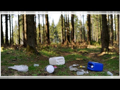 Hvert år havner 150 millioner flasker og bokser rett i søpla