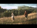 The Mill And The Cross 2011 Clip 1