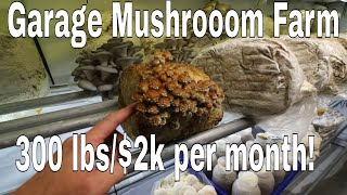 2 Car Garage Gourmet Mushroom Farm at Home, Grow 300 Lbs $2000 per month