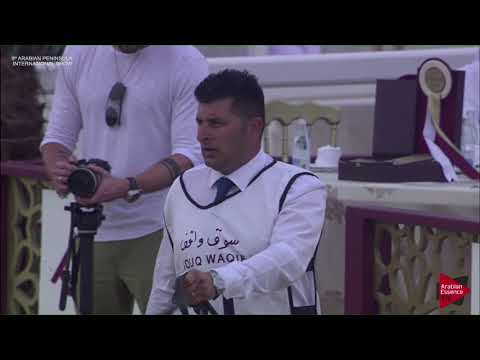 N.91 FARED AL NASSER - 2019 Qatar Int. Peninsula show - Colts 3 Years Old (Class 6)