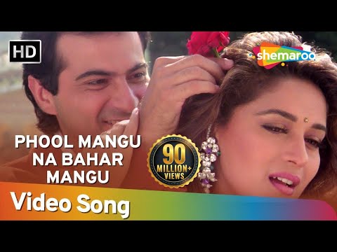 PHOOL MANGU NA BAHAAR MANGU SONG LYRICS - Alka yagnik|| Udit Narayan