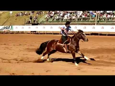 5º Lugar Fêmeas - Herança 303 da Vendramin-TE / Classificatória de Chapecó/SC - 2017