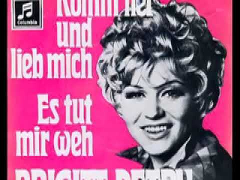 Brigitt Petry - Es tut mir weh