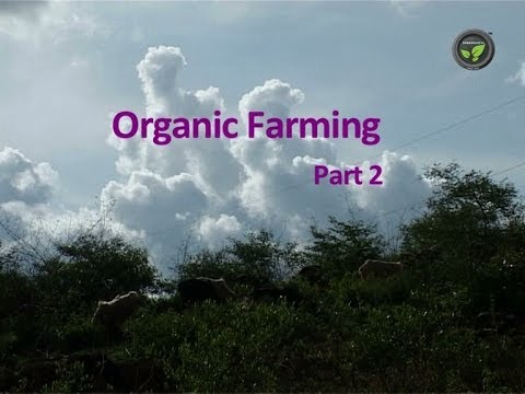 What Cuba can teach America about organic farming