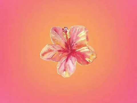 ✨Zatańcz jeśli znasz ✨2025