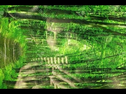 Pan: The God of the Wild