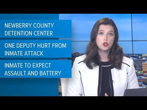 Jail Log Newberry Sc
