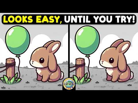 🐢🧩 Spot 3 Differences | Test Your Sharp Eyes 🧩🐢 | Quizonaut Turtle