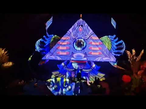 The Visuals @ Groove attack PURIM festival 2019