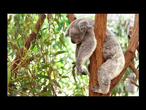 Estroe - Living Apart Together [2012 Edit]