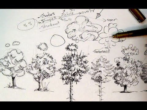 Pen Ink Drawing Tutorials | How to draw trees