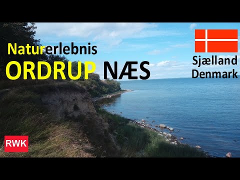 Naturerlebnis Ordrup Næs