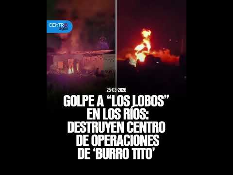 Golpe a "Los Lobos" en los Ríos: destruyen centro de operaciones de 'Burro Tito'
