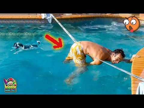 TOTAL IDIOTS AT WORK #183 | Instant Regret Fails Compilation 2025 | Best Fails of the Week