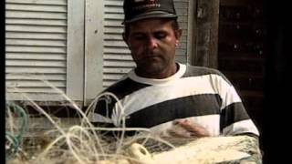 Leituras do Brasil - Casa Grande & Senzala