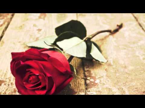 Rósin - Guðrún Árný