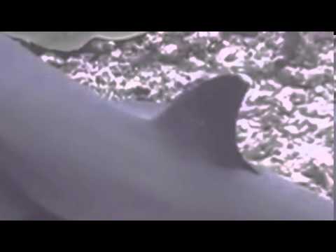 Rey meets Finn - STAR WARS: The Force Awakens