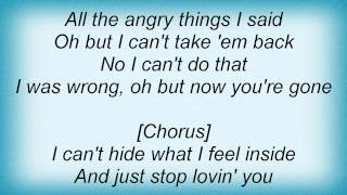 Jason Aldean - Even If I Wanted To Lyrics