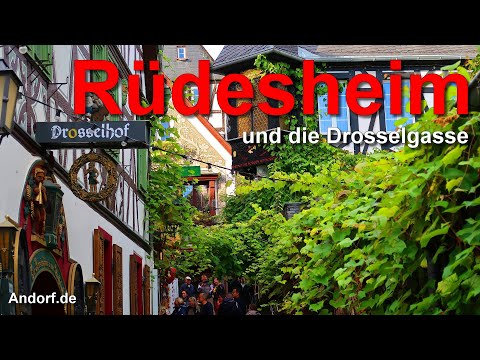 Rüdesheim und die Drosselgasse