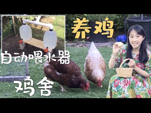 , title : '【菜园子23】 养鸡--自制自动喂水器，参观鸡舍，养鸡的故事 DIY Automatic chicken (poultry) drinker, Raise chicken in backyard'