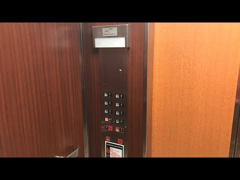 HIGH BUT FAST Montgomery Hydraulic Elevators at Wingate by Wyndham, Springfield, VA