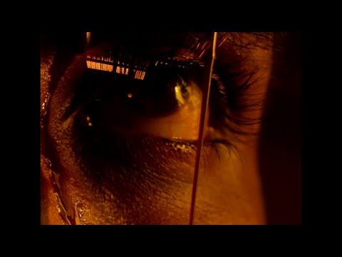 Digital Flock - Parallels ft. Maaiz [Official Video]