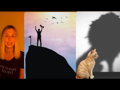 MAI DARSI PER VINTI⚔️