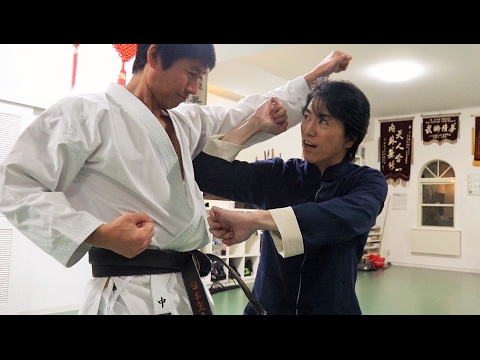 空手の達人が八極拳のヒジを体感！Karate master experiences Ba ji quan（Naka sensei, JKA)
