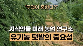 텃밭의 중요성 지식인들의 미래 농업 연구소 유기농 텃밭 #에너지농법 #탄소농업 #유기농업 #환경농업 #자연농…