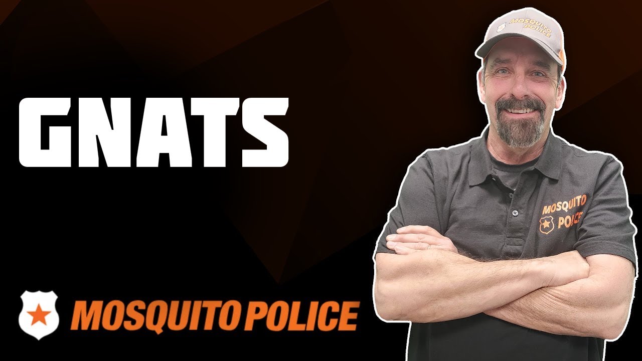 Mosquito Police - Gnats