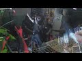 Cypress Hill - Pigs ( Full Video )