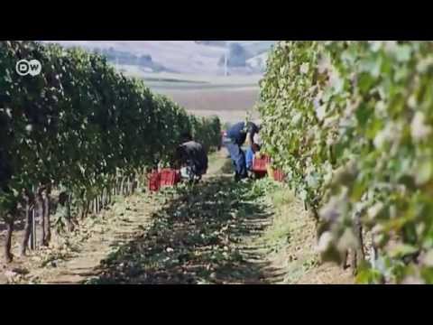 A Trip to Basilicata | Euromaxx