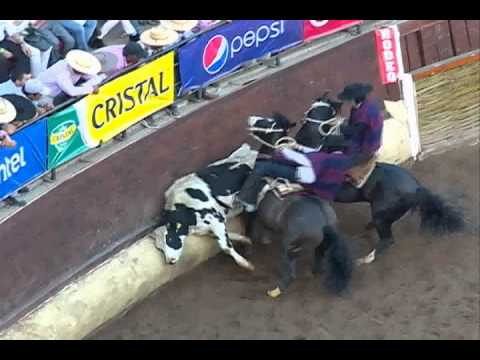 Resumen Final Nacional Rodeo 2013