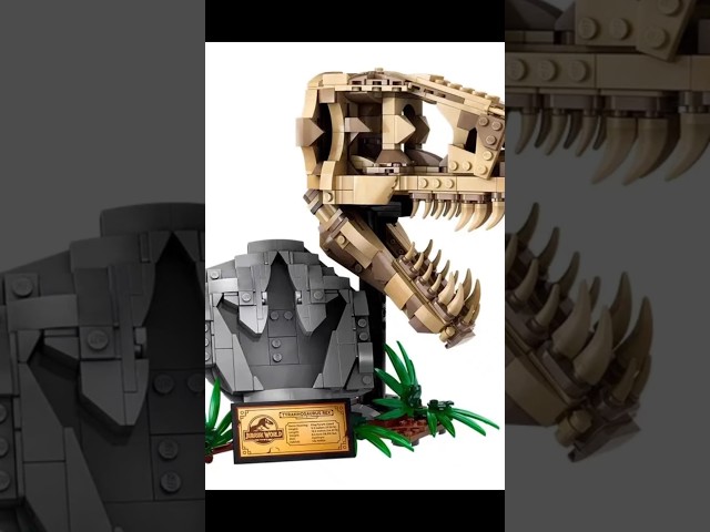 Vídeo relacionado con Nemesis Now Tyrannosaurus Rex Skull - Figura de Calavera, 18,5 cm, Color Gris