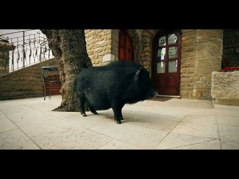 ▶️ AGROTURIZAM "SAN MAURO" MOMJAN 🍽️🍷