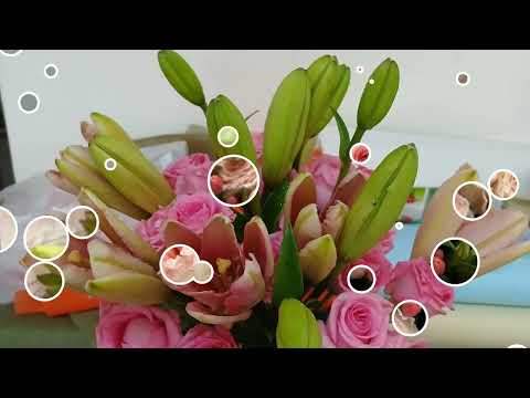 flower ki creation #editing by soumitra #flowers lovers ka liya #pleasesubscribe and like kar da na