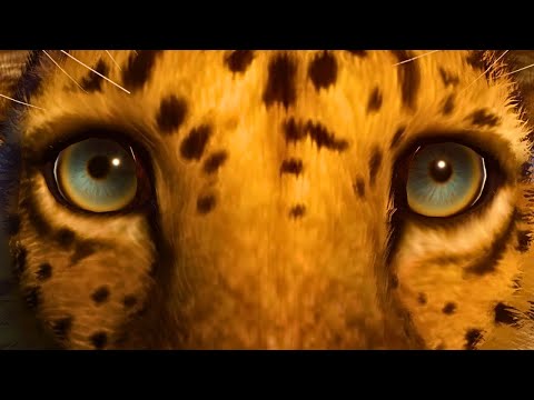 Making an Ethical Eco-Friendly Zoo in Planet Zoo | Supercut