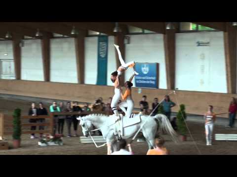 Pferd International 2015 - Gut Waffenschmiede I