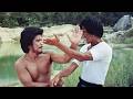 Chinese Godfather Da Jiao Long 1974 Two Brothers Caught Between Honor And Gang Warfare